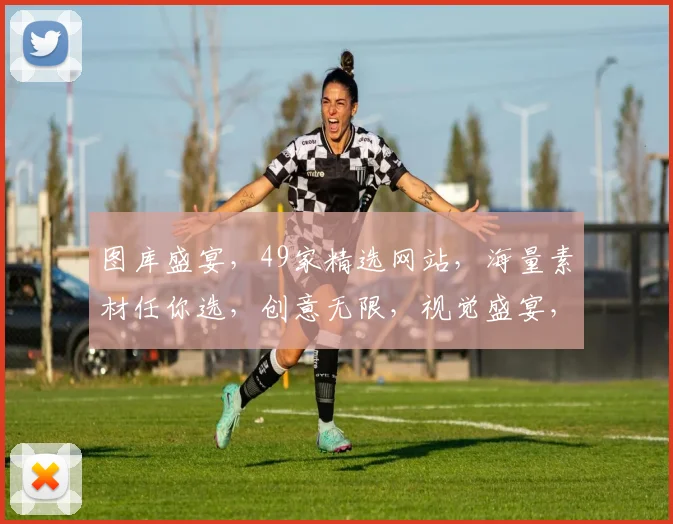 图库盛宴，49家精选网站，海量素材任你选，创意无限，视觉盛宴，一网打尽